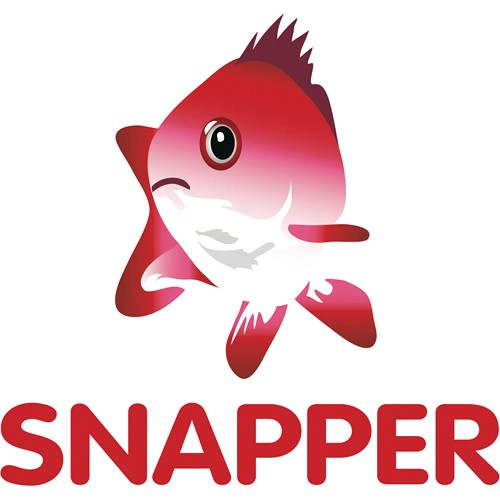 Snapper 3.1.4 Crack + Serial Key Full Version [2024]